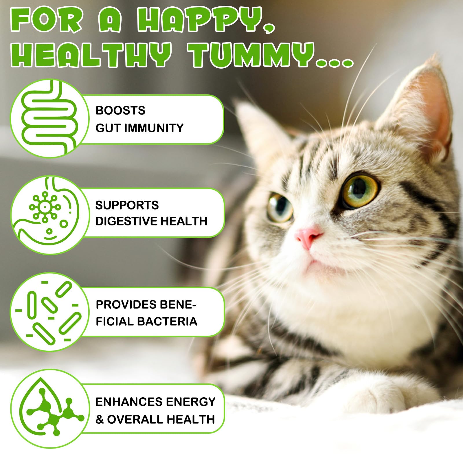 FANGCUN digestive enzymes for cats aid nutrient absorption