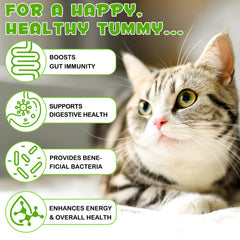 FANGCUN digestive enzymes for cats aid nutrient absorption