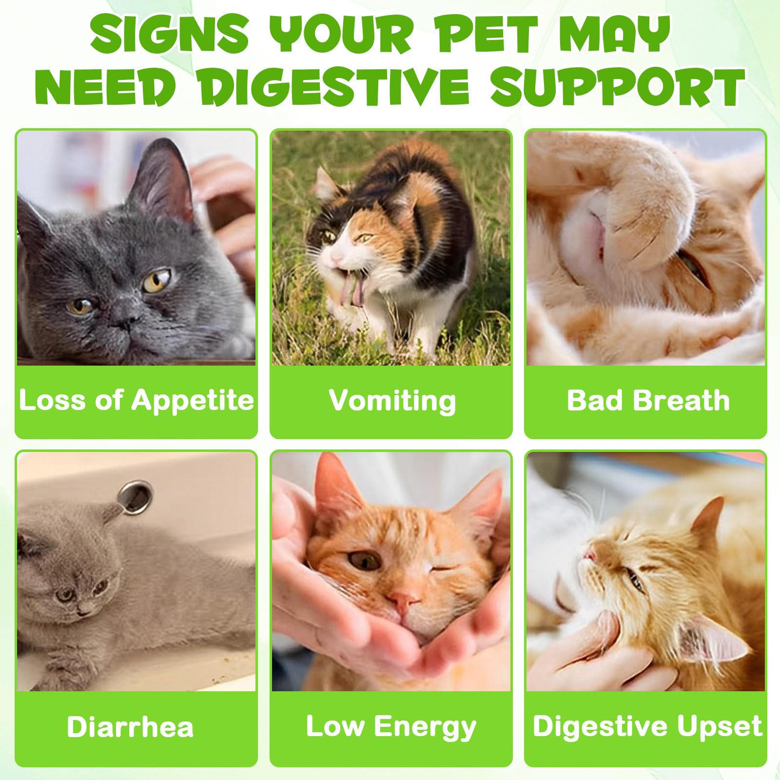 FANGCUN liquid probiotics for cats supports steady gut balance