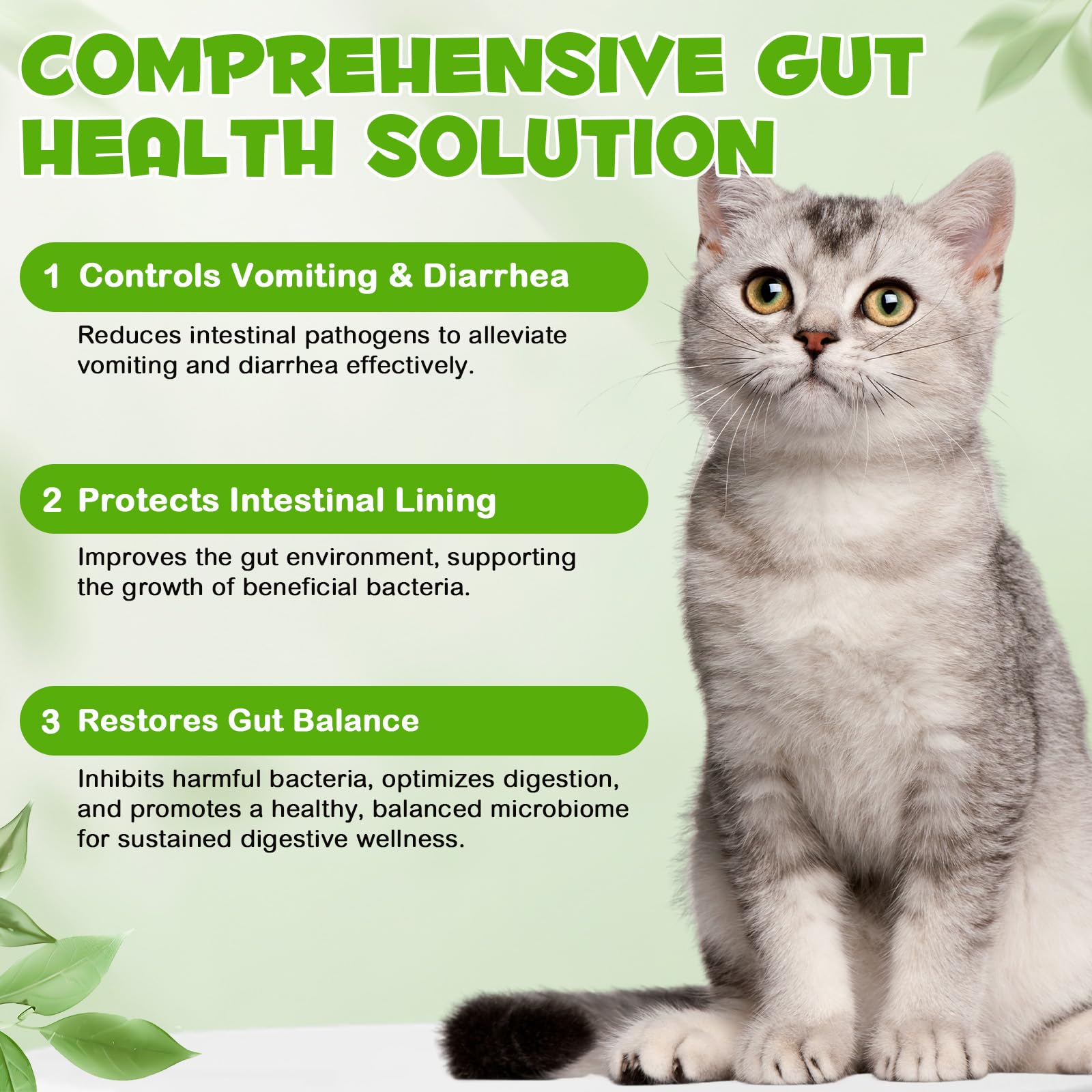 FANGCUN serving spoon for precise dosing in cats