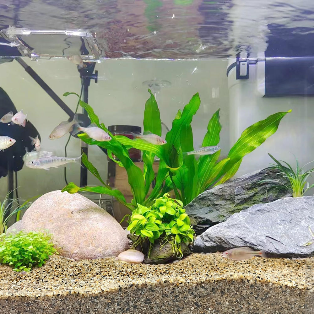 FANTIAN decorative river rocks gravel for crafts and vases