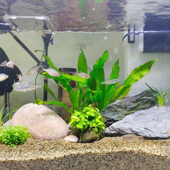 FANTIAN decorative river rocks gravel for crafts and vases