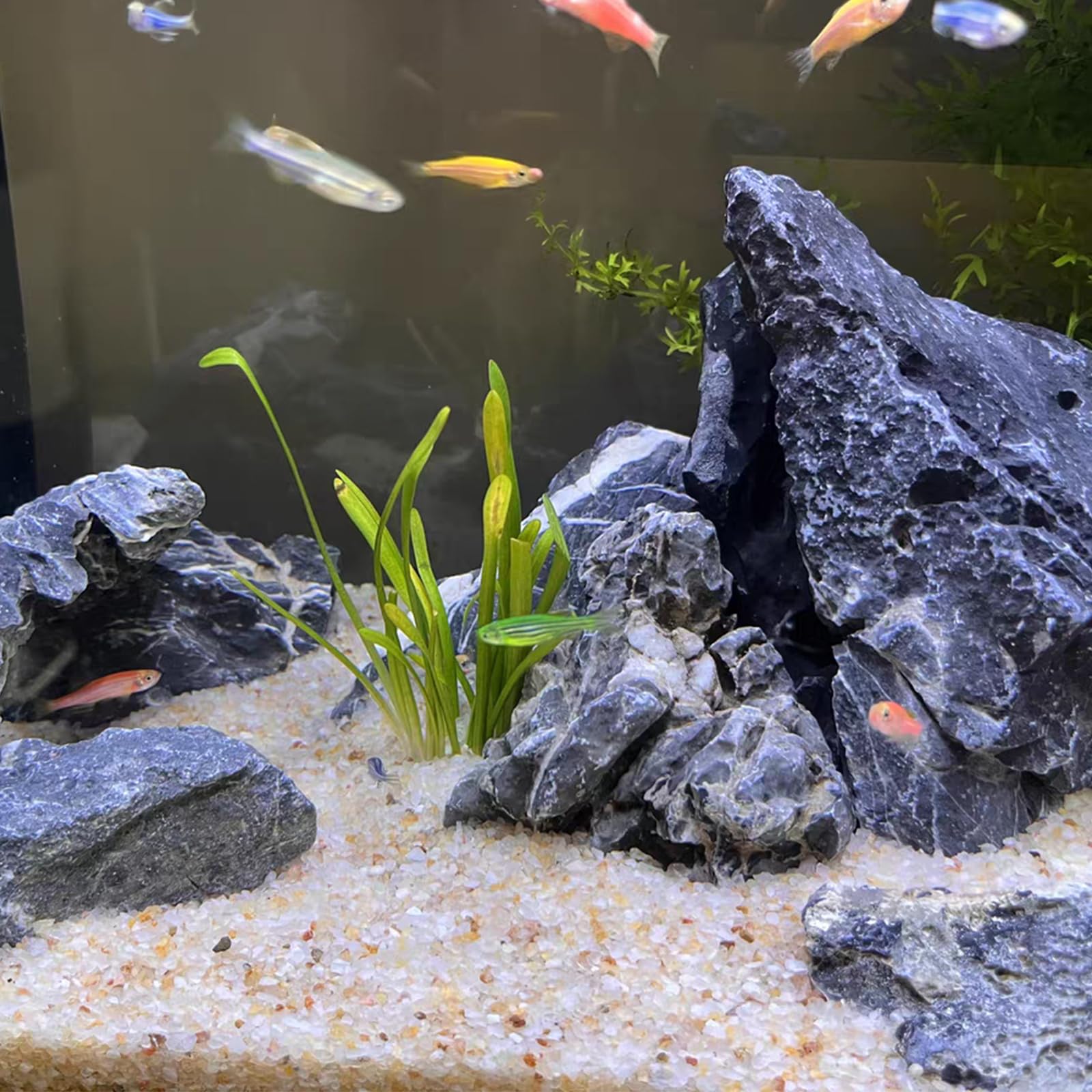FANTIAN colored sand resists bleeding after rinsing in aquariums.