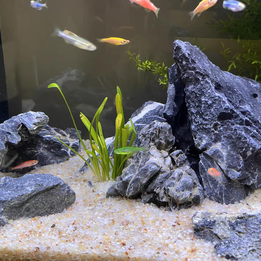 FANTIAN colored sand resists bleeding after rinsing in aquariums.