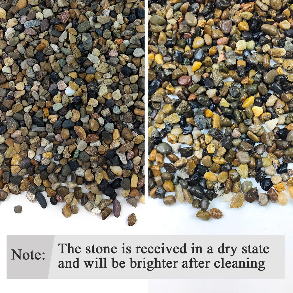 Fantian decorative gravel for terrariums and vases with simple maintenance.