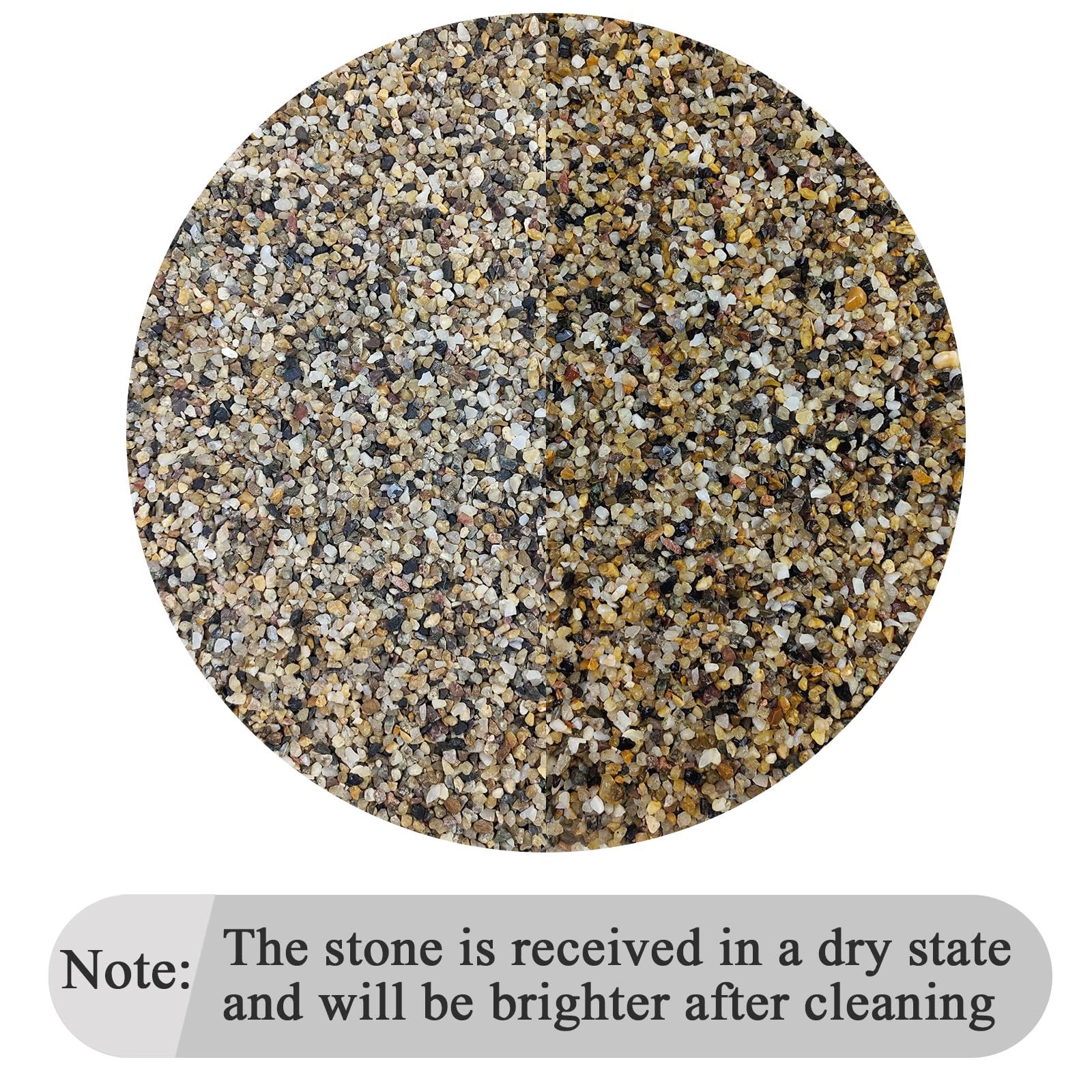FANTIAN gravel for plants enhances drainage and airflow in small pots and succulents.