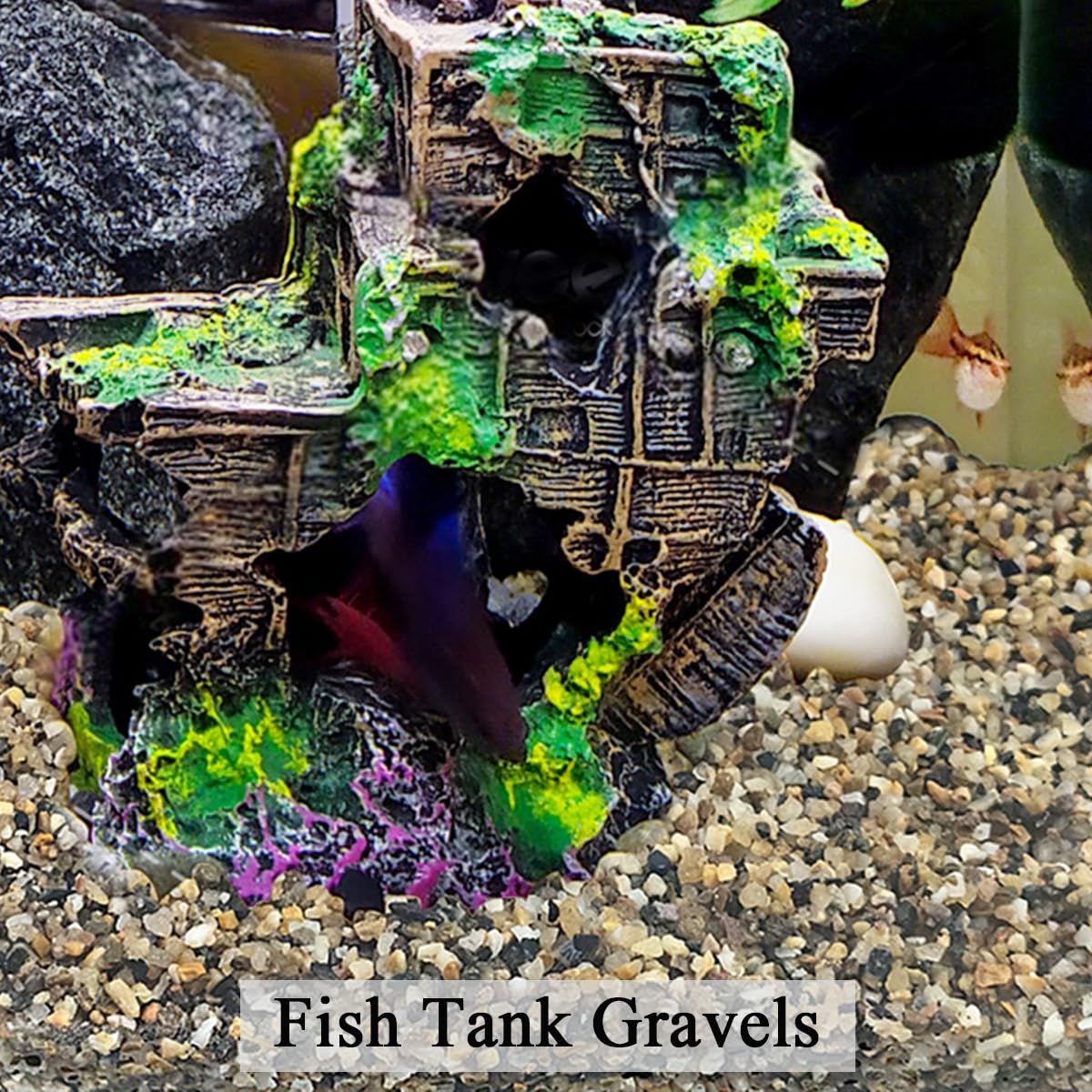 FANTIAN gravel ideal for terrariums, vases, and DIY decor.
