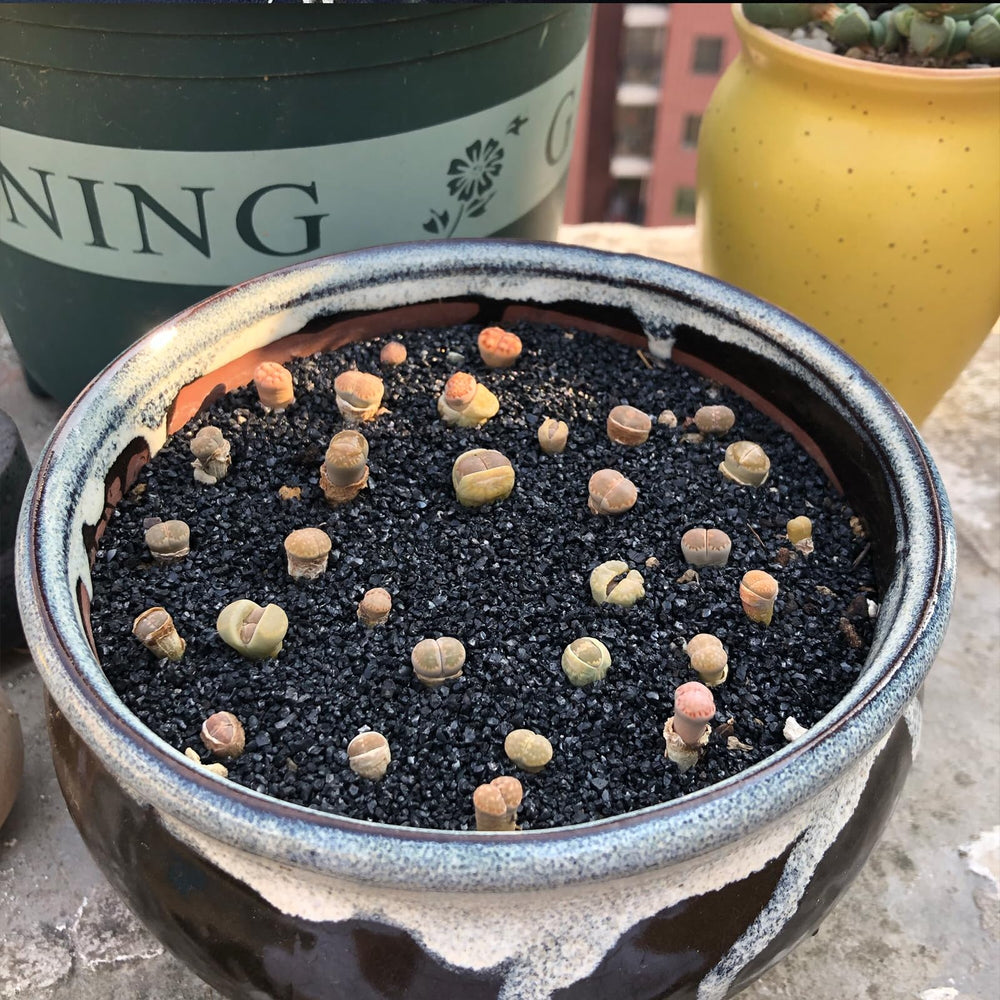 FANTIAN sand base for fire pits and decorative crafts.
