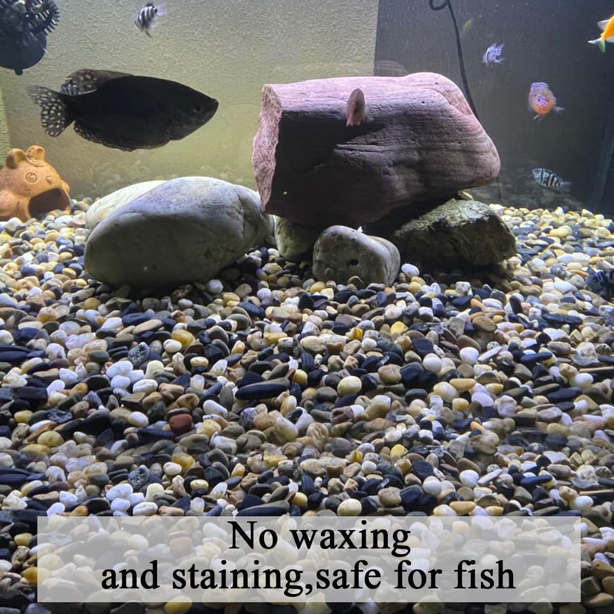 FANTIAN terrarium decor rocks add texture and help with moisture balance.