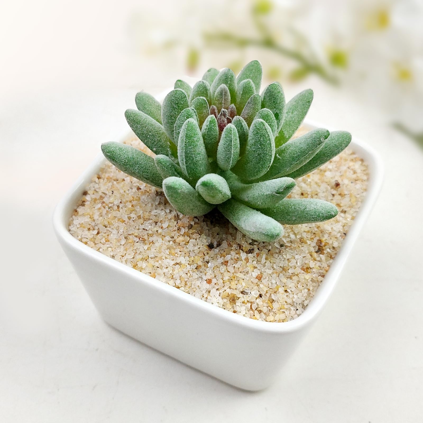 FANTIAN vase filler sand enhancing centerpiece aesthetics