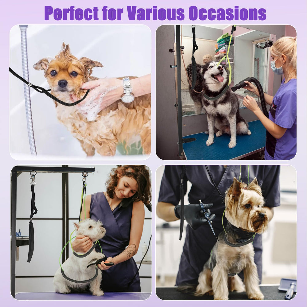 FANXSVL versatile arm assists nail clipping, hair trimming, bathing, and vet exams.