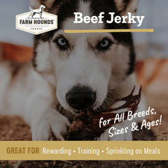 Farm Hounds Beef Jerky package closeup highlights preservative-free composition for healthy snacking.