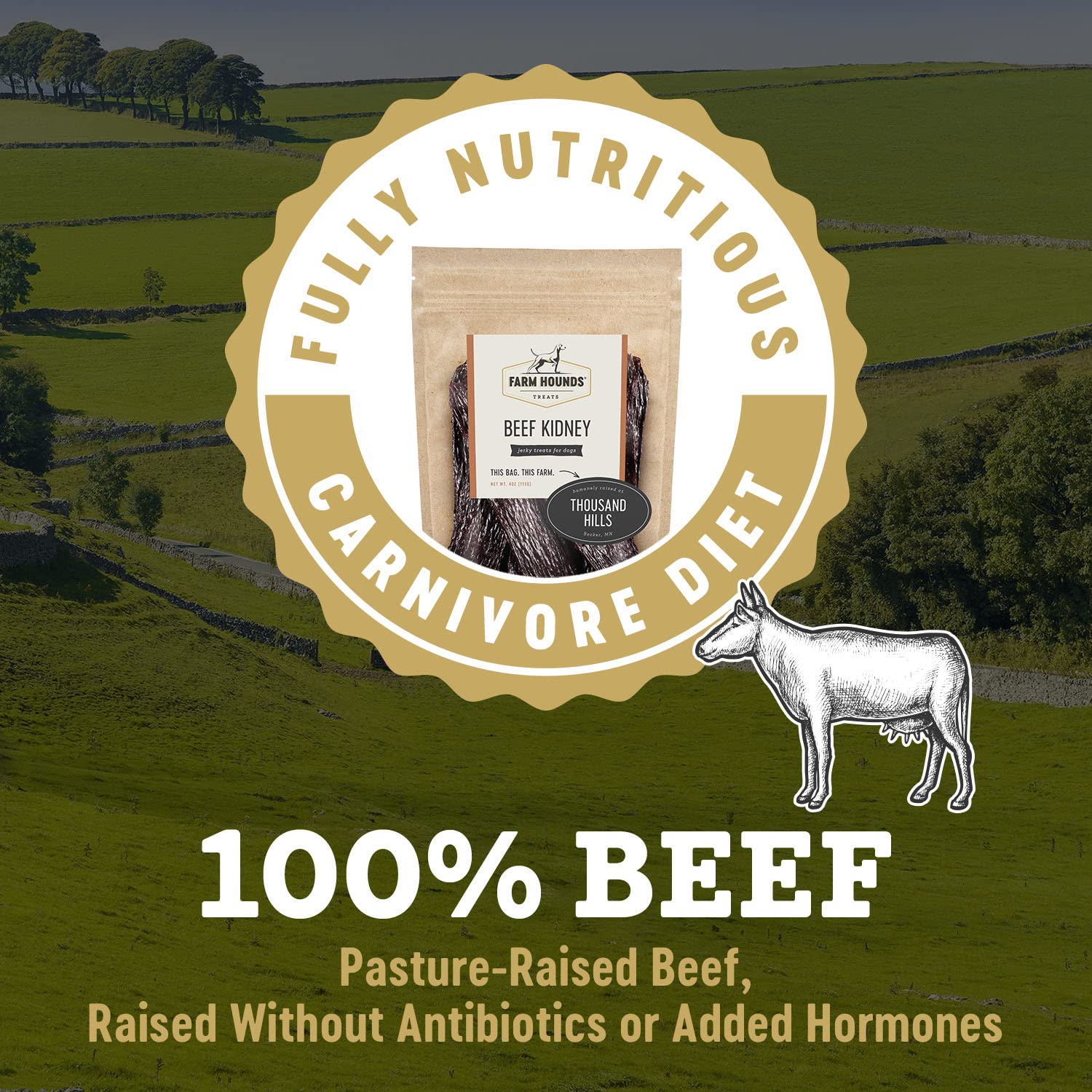 Farm Hounds Beef Kidney Jerky texture closeup – chewy treat dogs enjoy