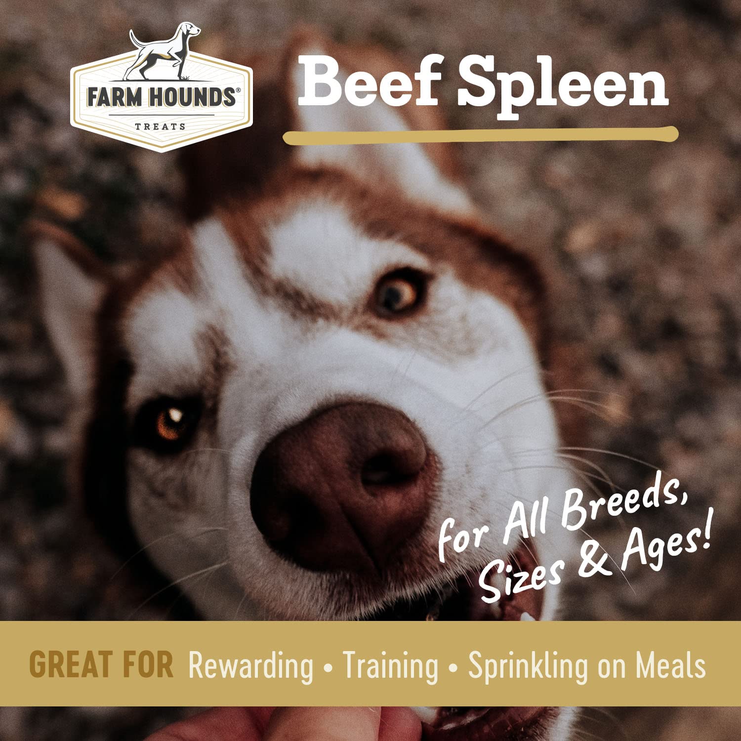 Close-up of Farm Hounds beef spleen jerky texture, a tasty single-ingredient snack
