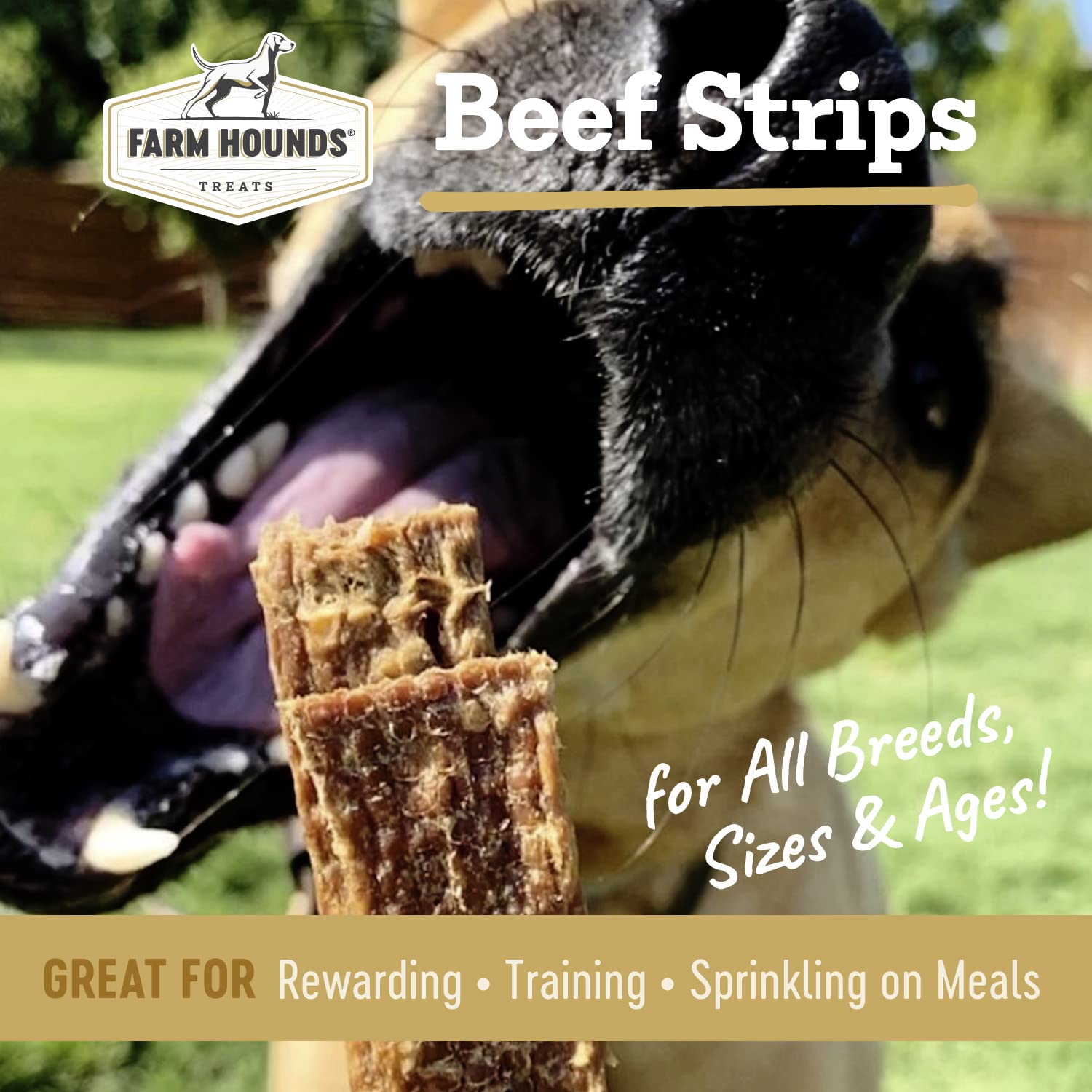 Beef strips close-up texture from Farm Hounds showing quality and tenderness.