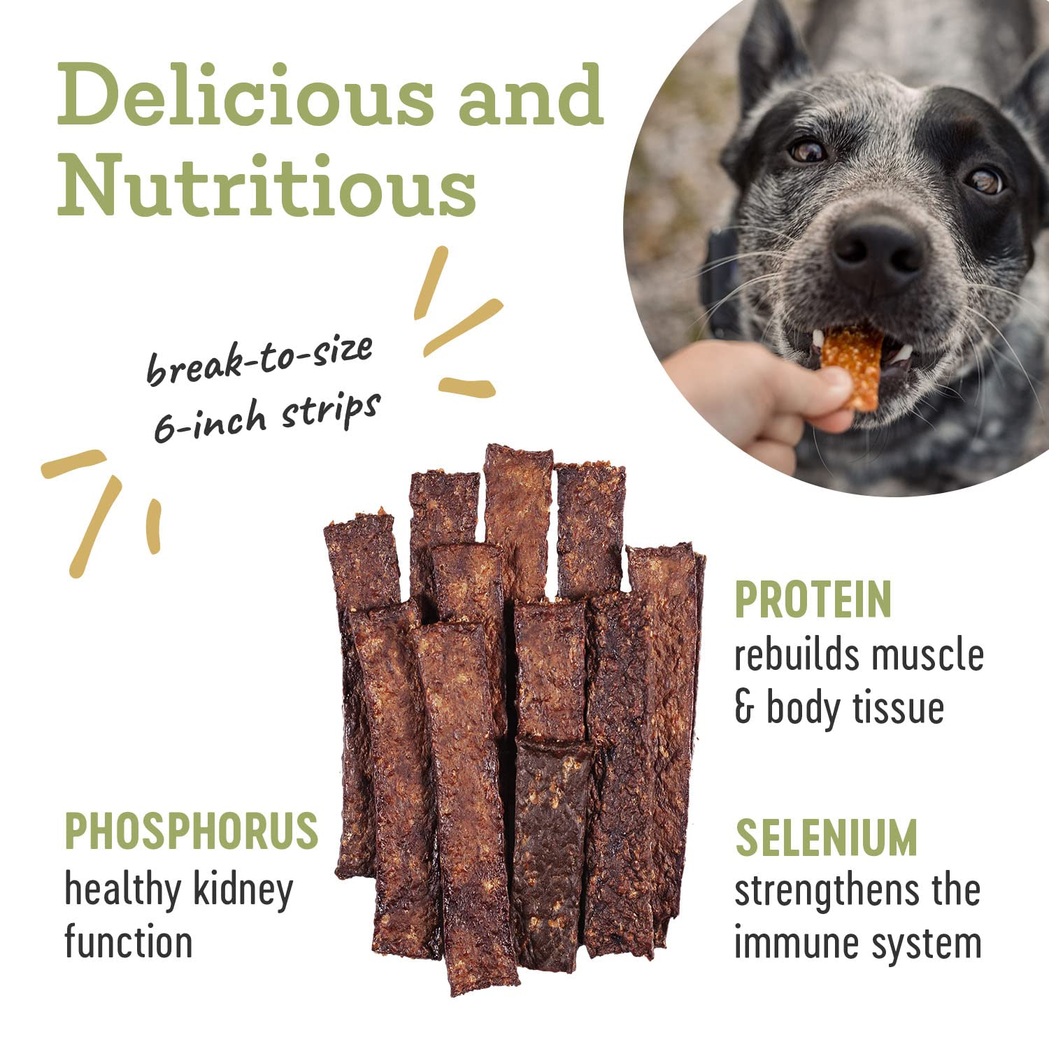 Dog enjoying Farm Hounds Beef Strips during training session.