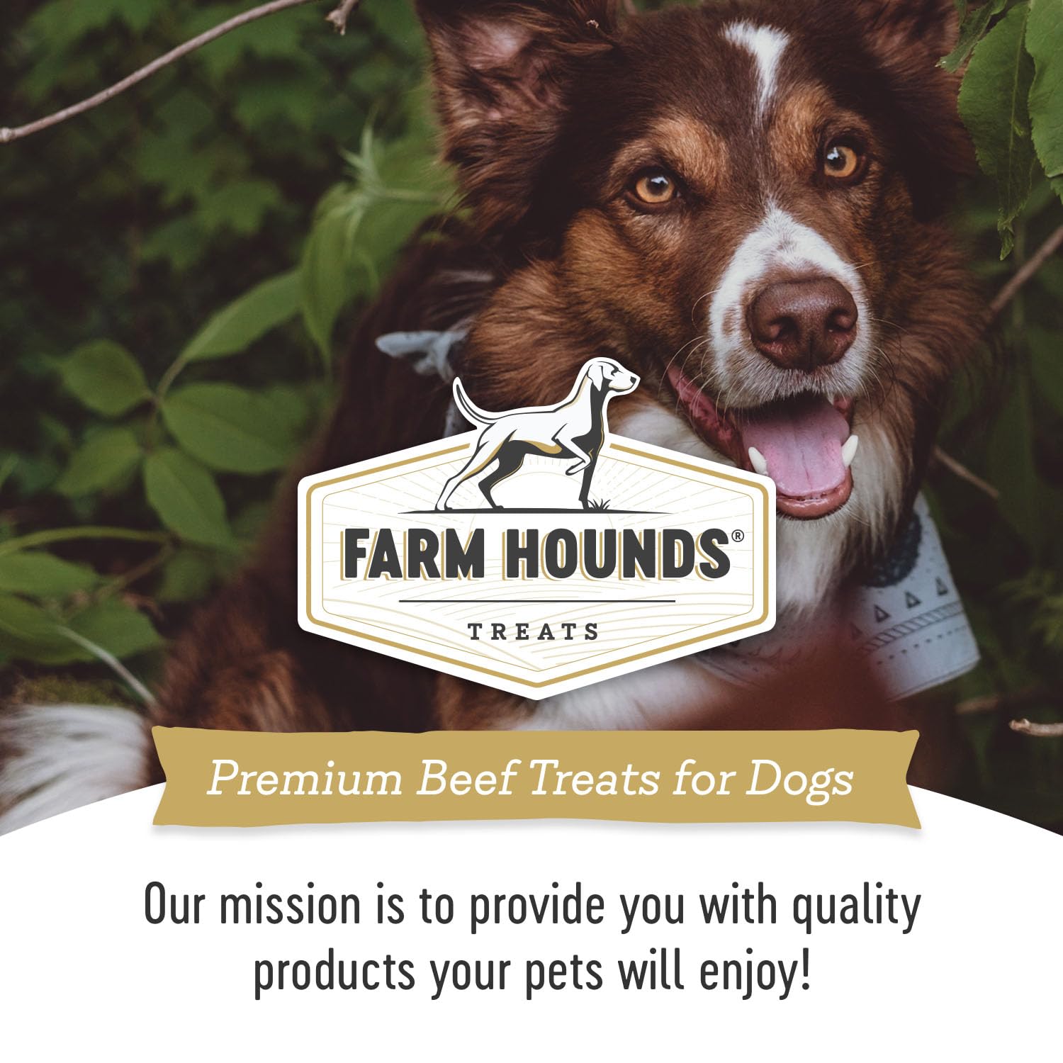 Farm Hounds Beef Trainers pack emphasizes natural ingredients and no fillers