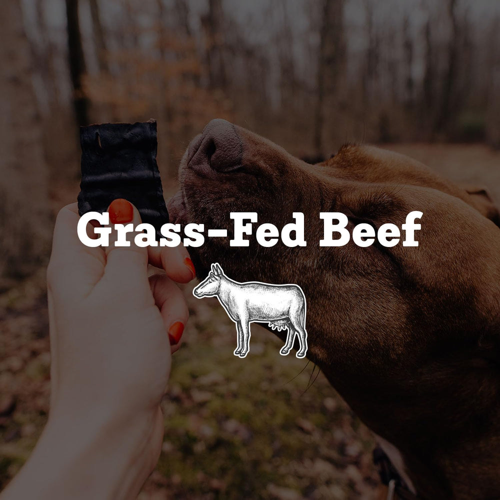 Farm Hounds Beef Trainers USA-made label highlights humane sourcing