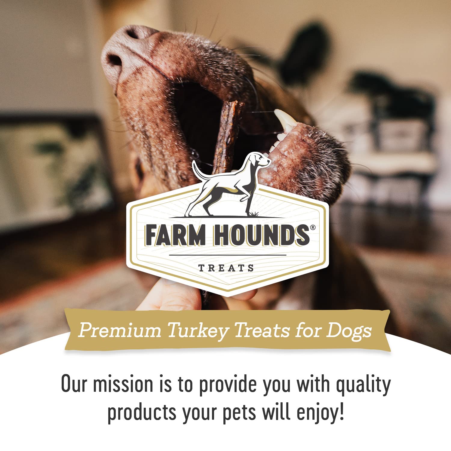 Farm Hounds turkey gizzards treats – suitable for all breeds