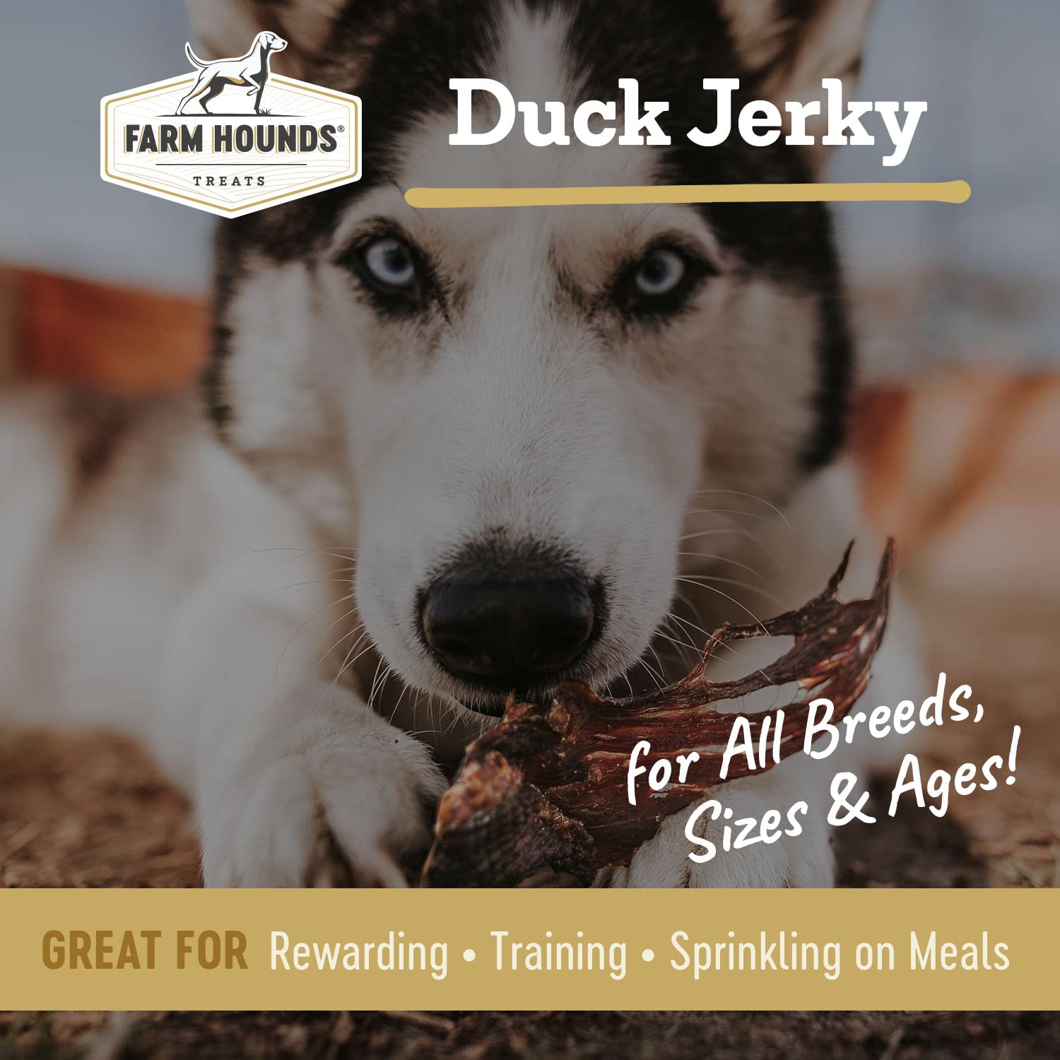 Hand holding break-to-size Farm Hounds Duck Jerky pieces for easy training rewards.