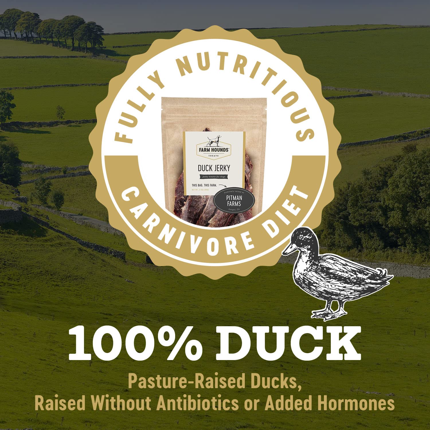 Closeup of 100% dehydrated duck muscle meat with no fillers in Farm Hounds jerky.