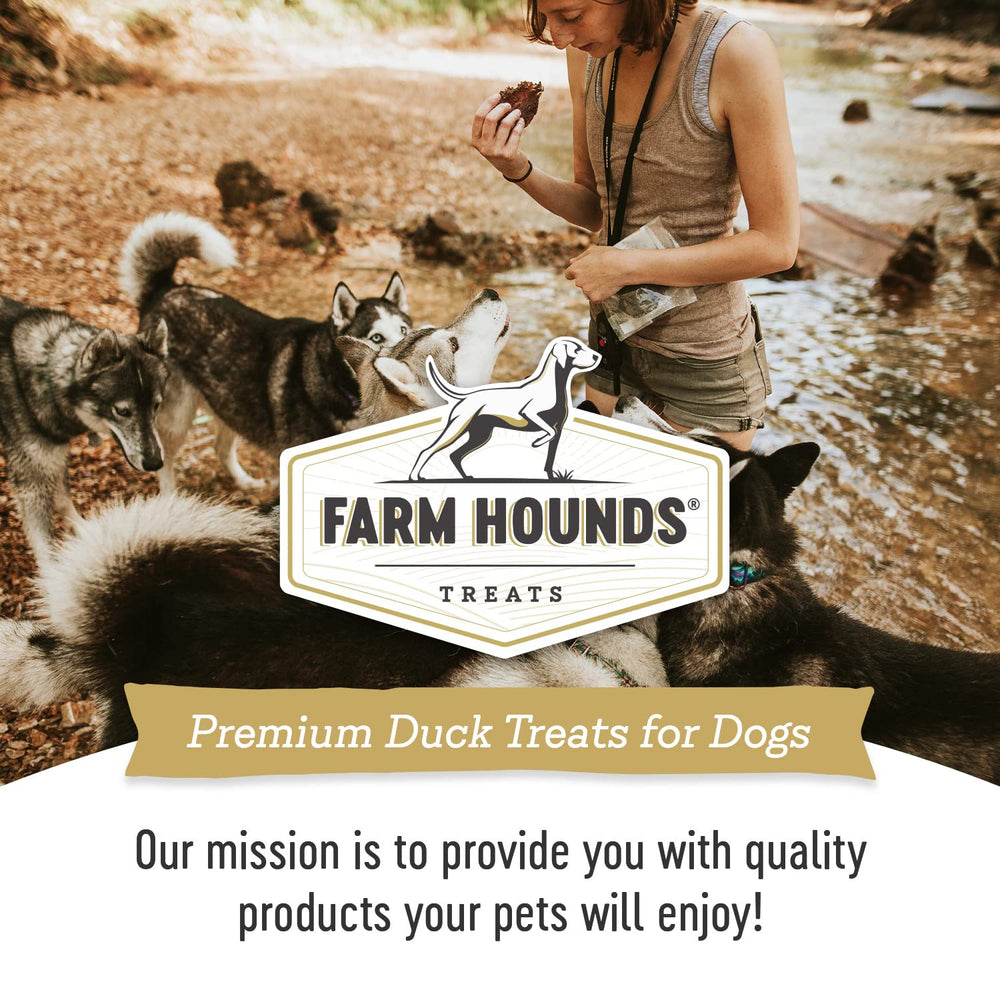 Dog enjoying training session with Farm Hounds Duck Jerky rewards.