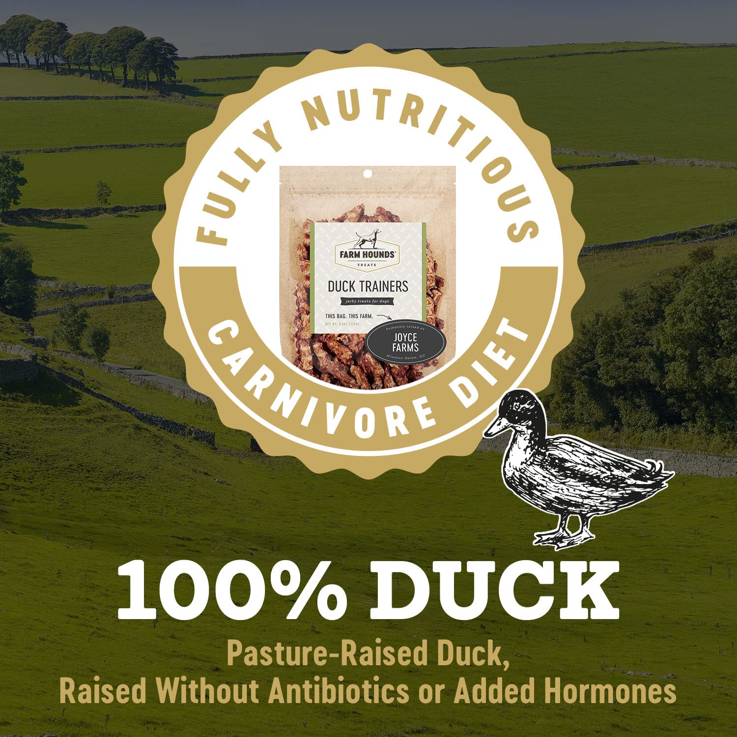 Duck Trainers jerky slices with dehydrated texture, Farm Hounds product detail