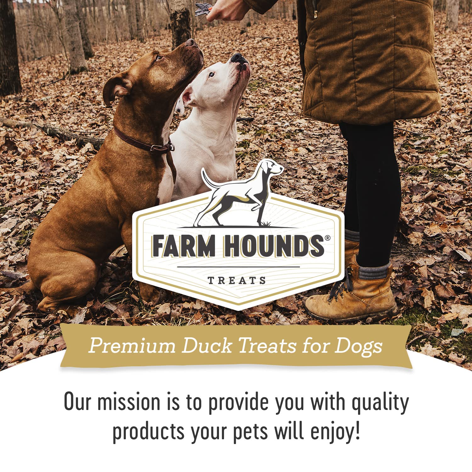 USA-made Farm Hounds Duck Trainers on display