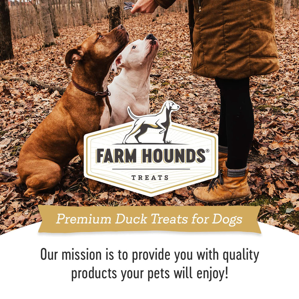 USA-made Farm Hounds Duck Trainers on display