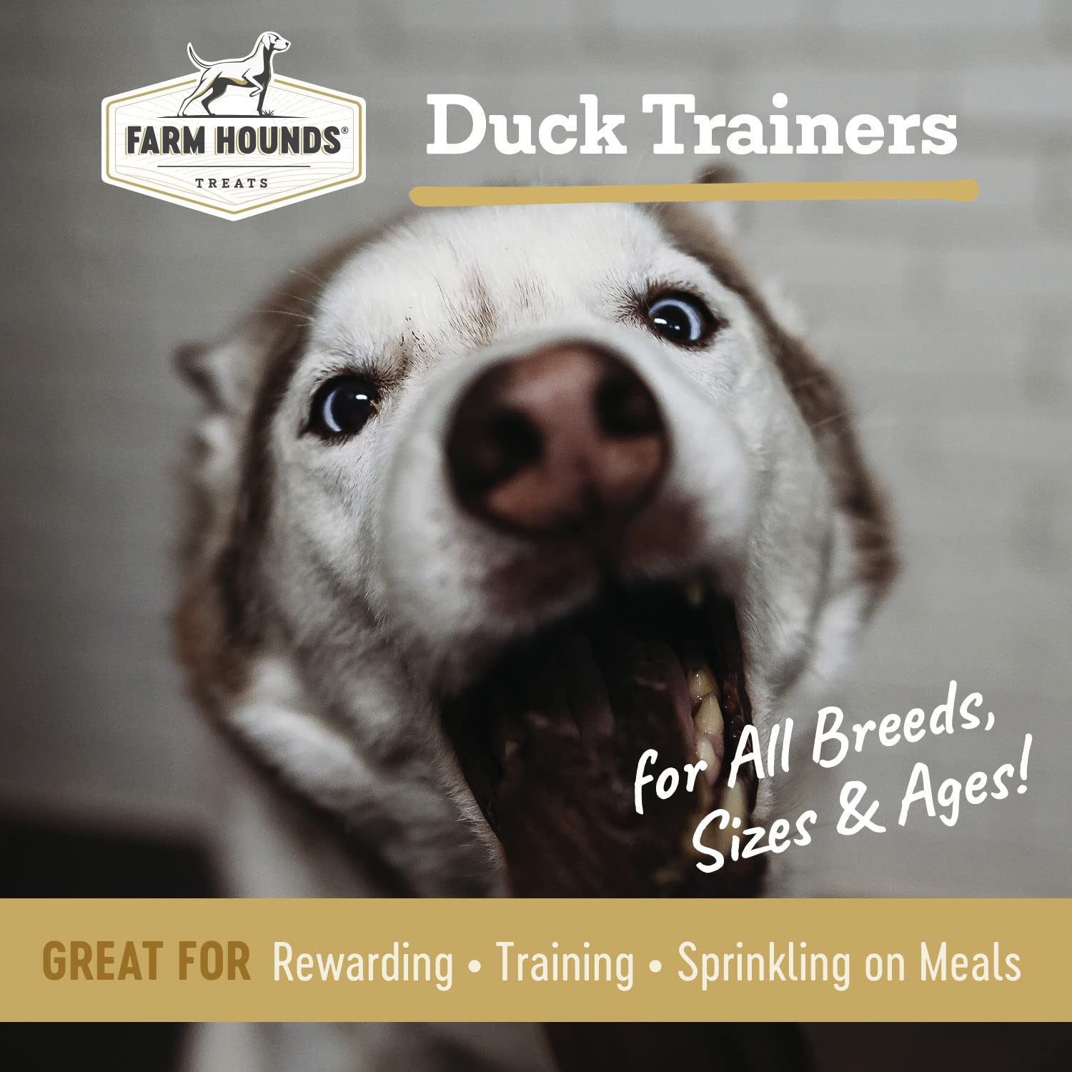 Farm Hounds Duck Trainers two-pack packaging, convenient rewards for training