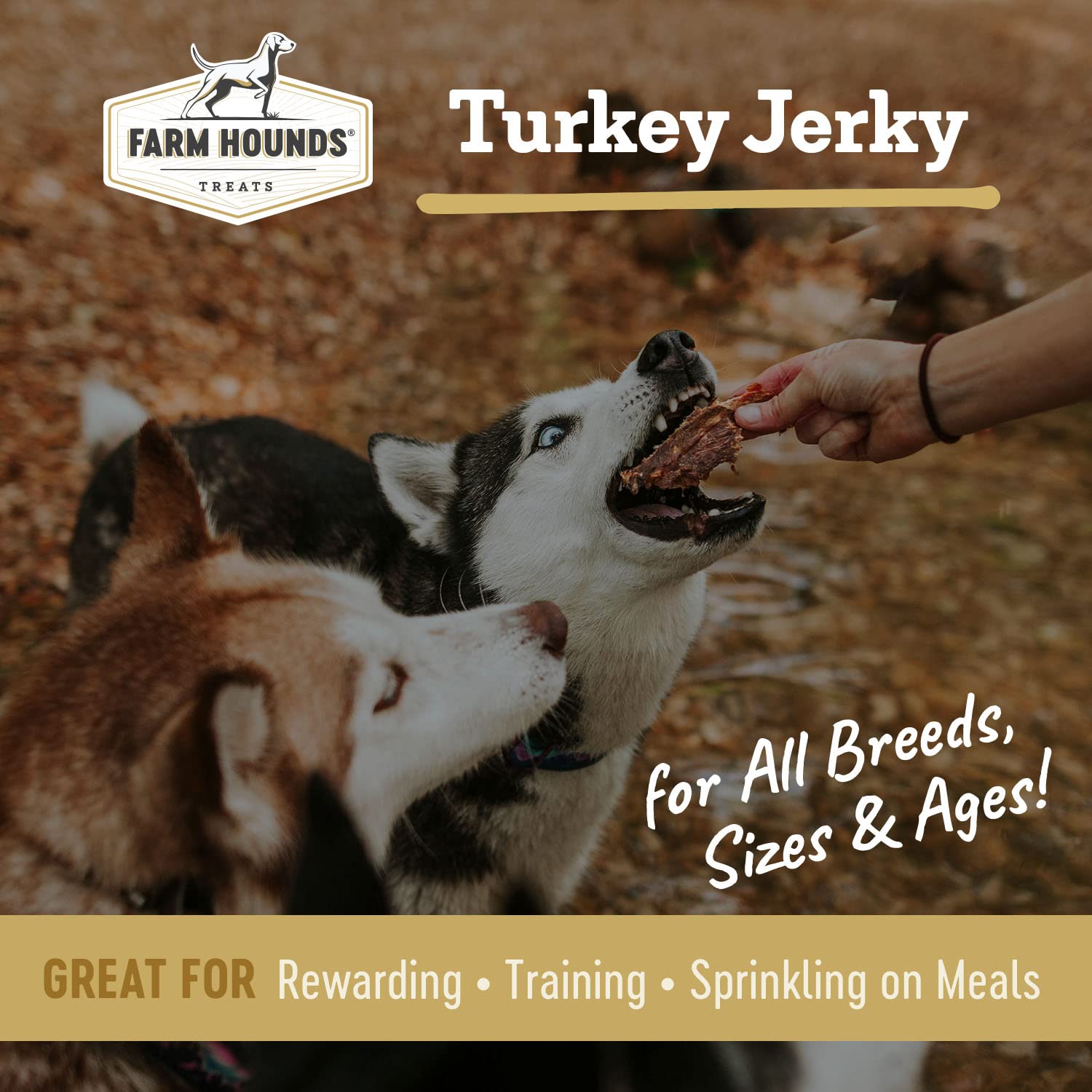 Farm Hounds Turkey Jerky sliced chunks for quick, tasty motivation.