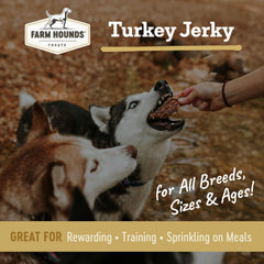 Farm Hounds Turkey Jerky sliced chunks for quick, tasty motivation.