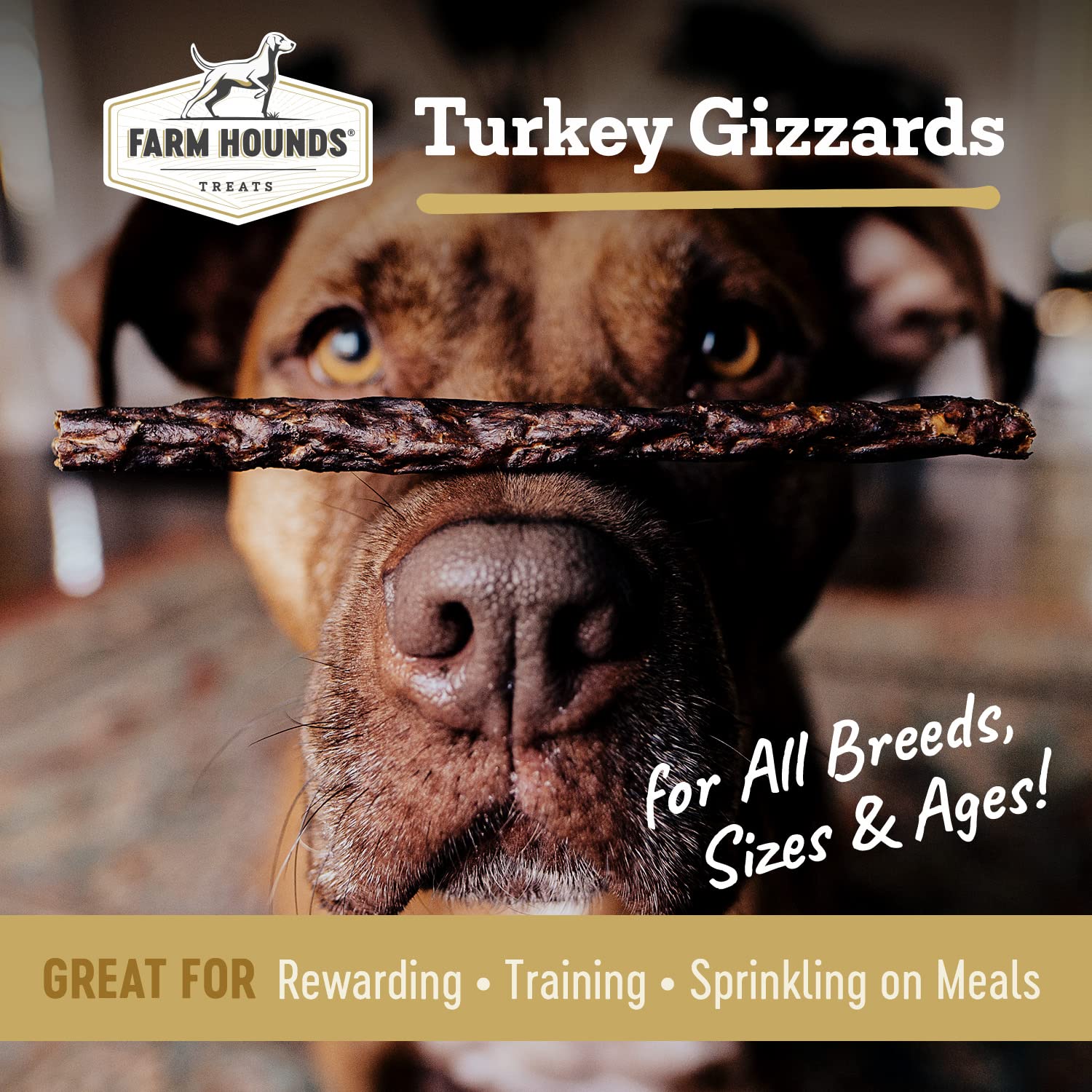 Farm Hounds two-pack turkey gizzards – 4oz bags