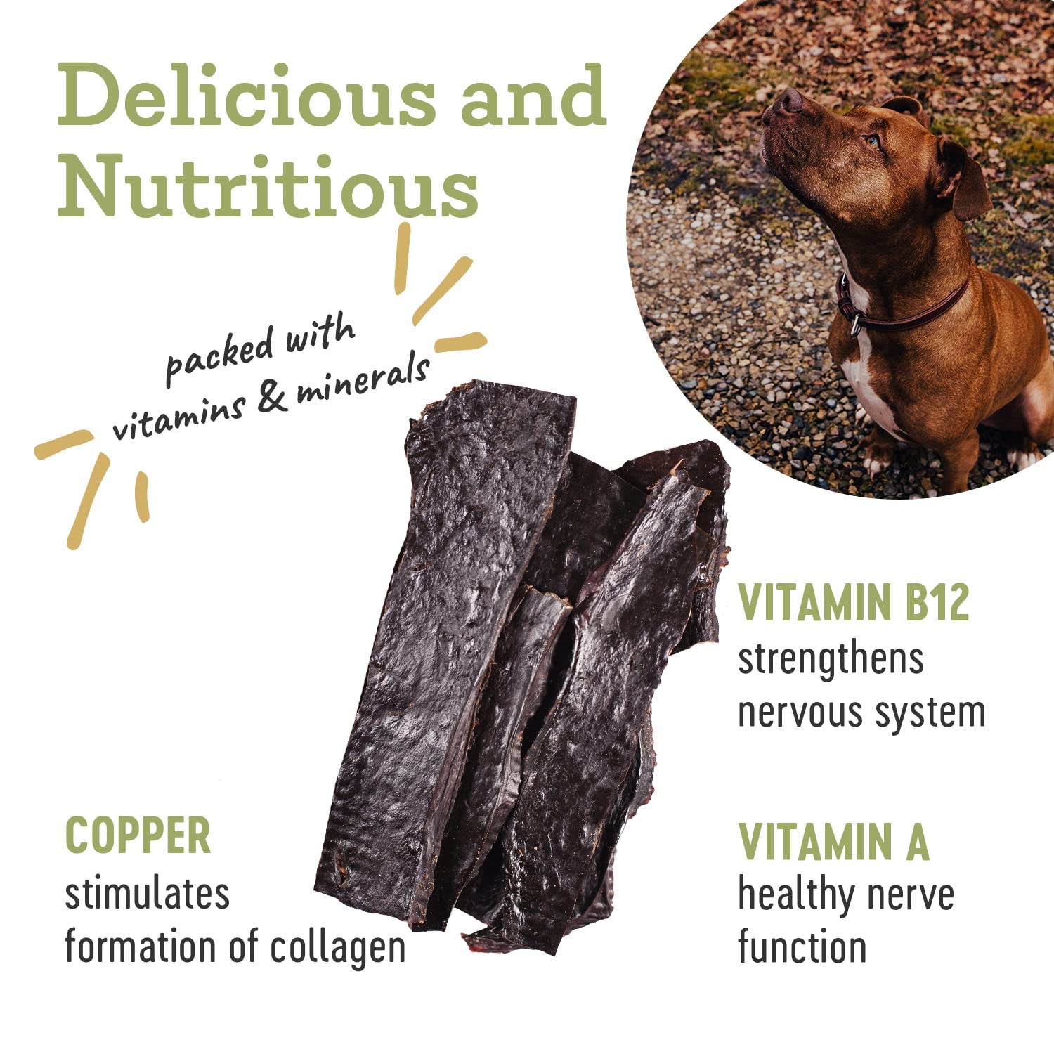 Farm Hounds USA-sourced label shows humane farms and quality origin.