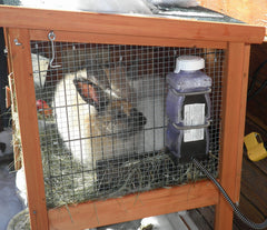 Farm Innovators HRB-20 thermostat close-up shows automatic temperature control.