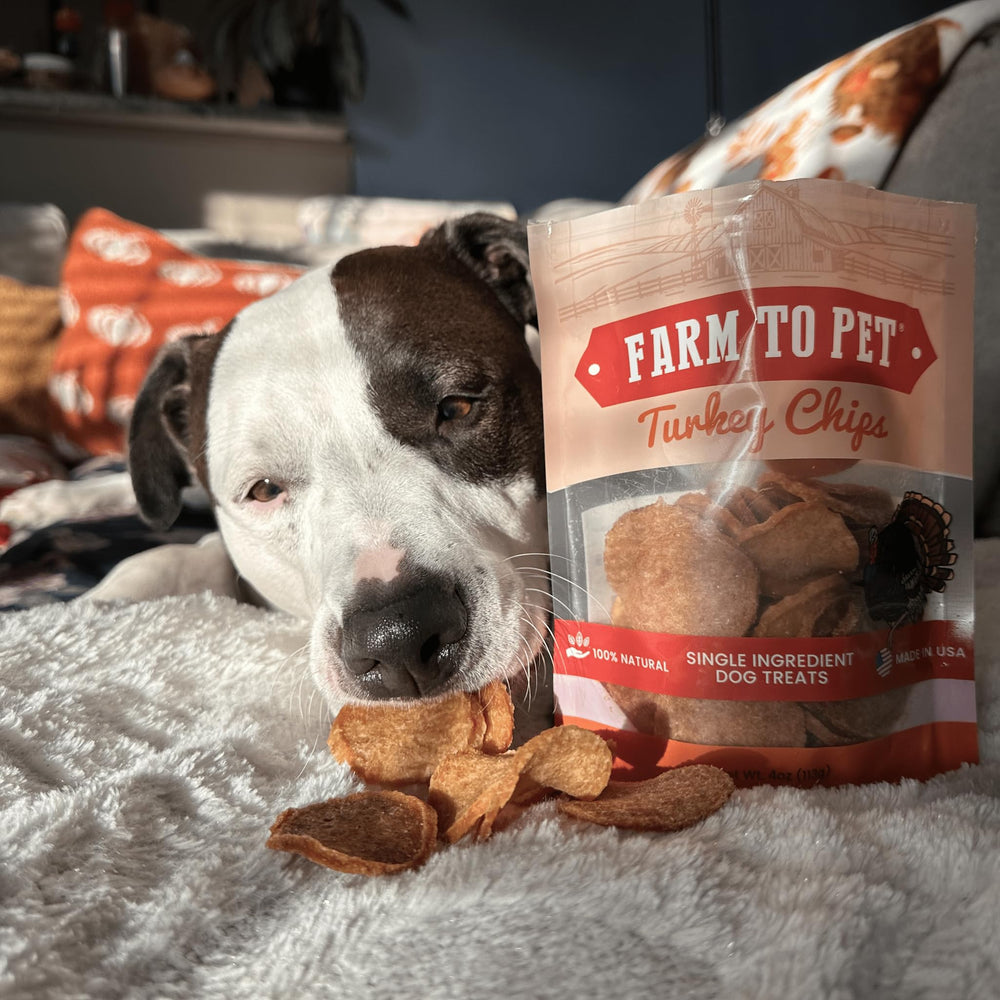 Farm To Pet all-breeds dog chips loved by dogs of all sizes