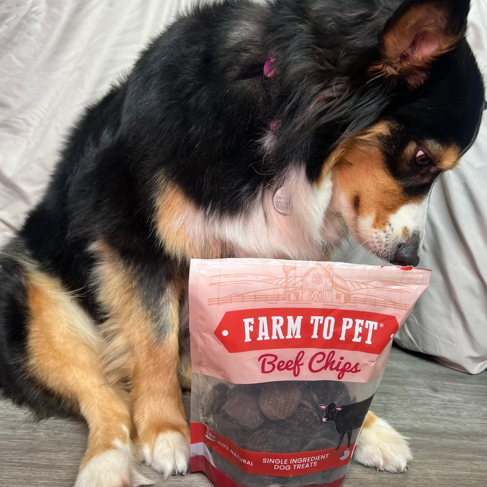 Farm To Pet beef chips texture close-up shows crunchy bite
