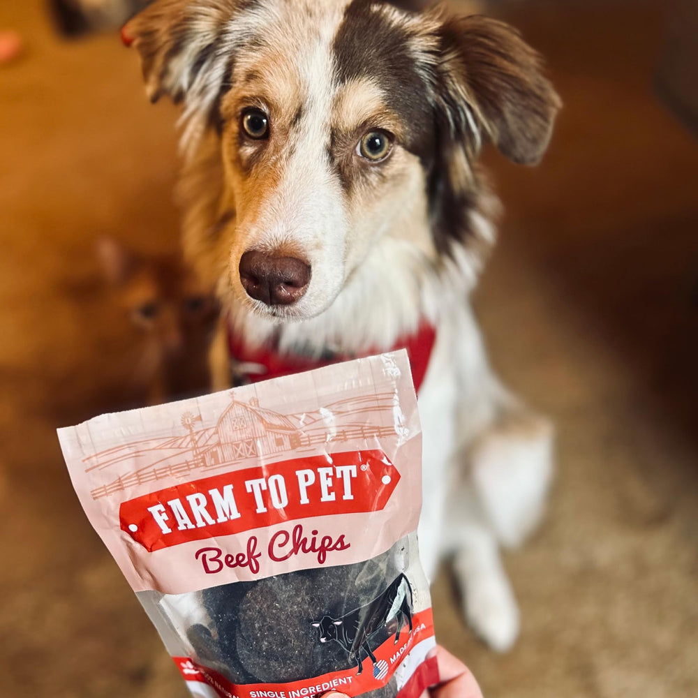 Farm To Pet beef chips dehydration-process, carefully dried to lock in flavor and nutrients.