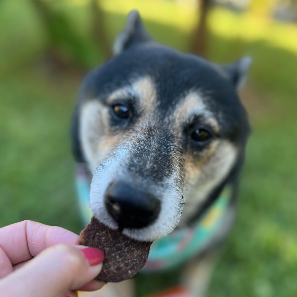 Farm To Pet beef chips usa-sourced-beef, human-grade beef from US family farms.