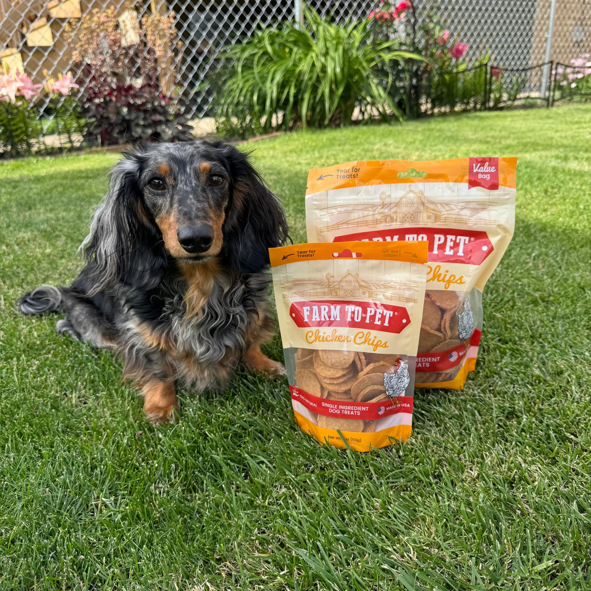 Farm To Pet Chicken Chips bag healthful snack