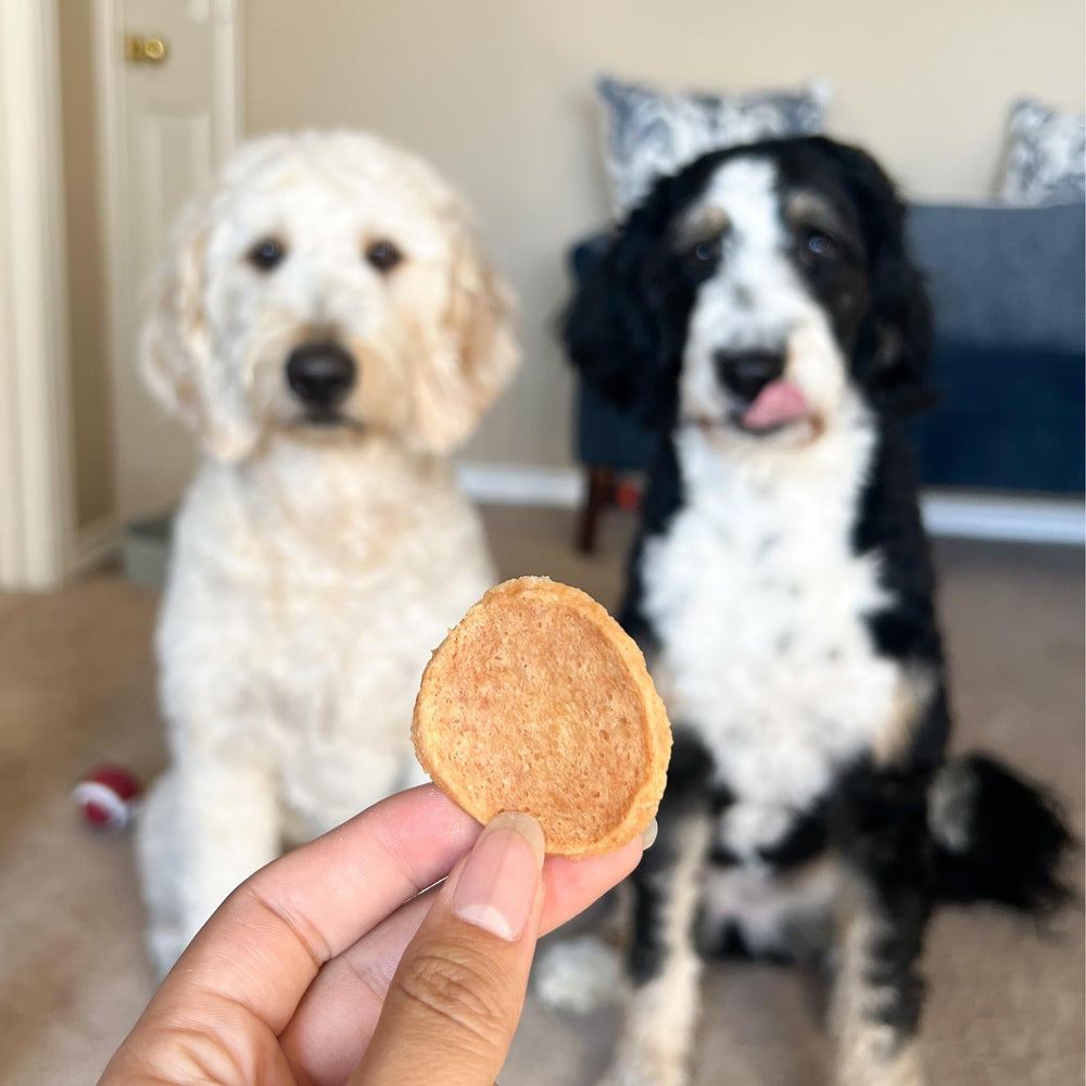 Farm To Pet Chicken Chips close-up lean protein