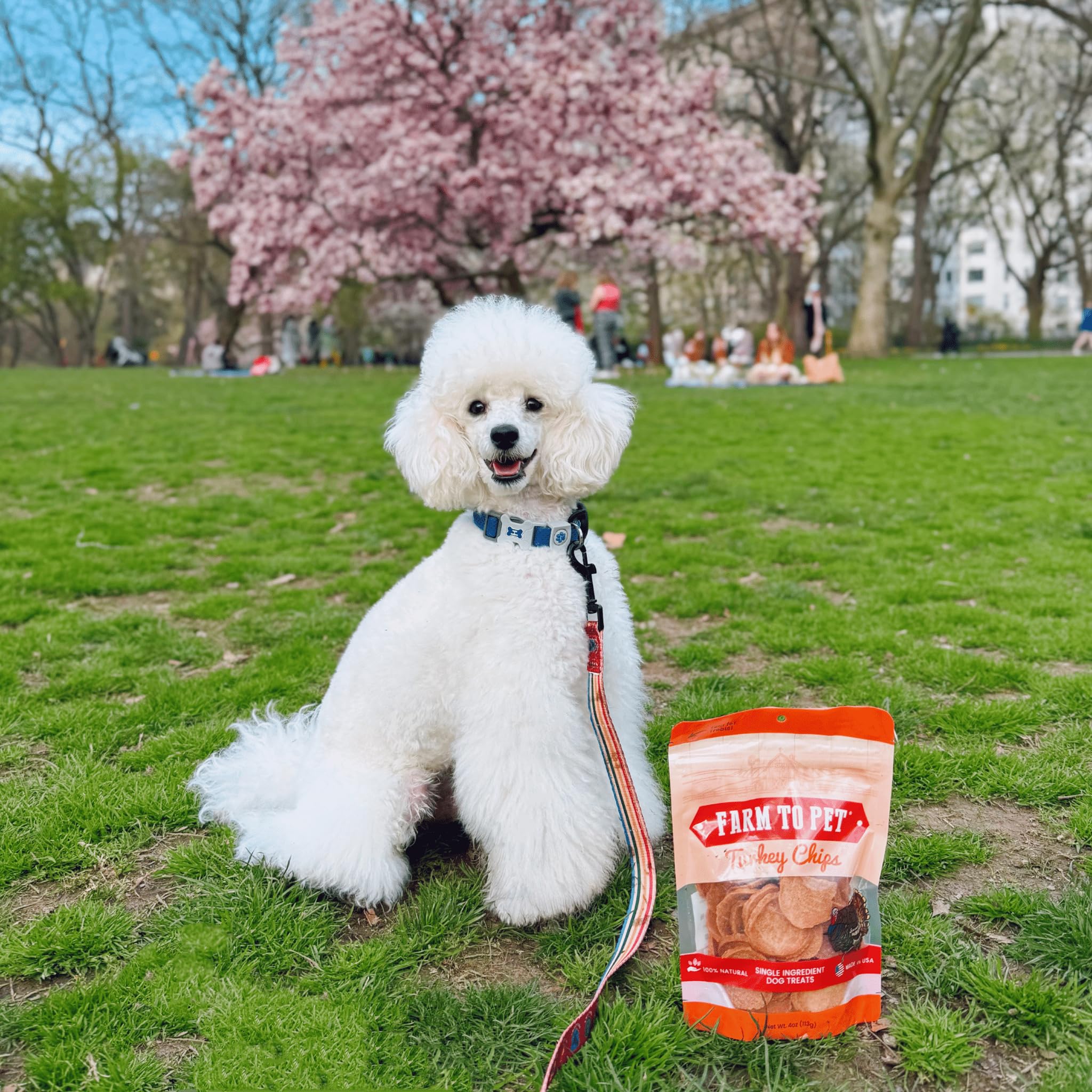 Farm To Pet high-protein low-calorie training treat for dogs