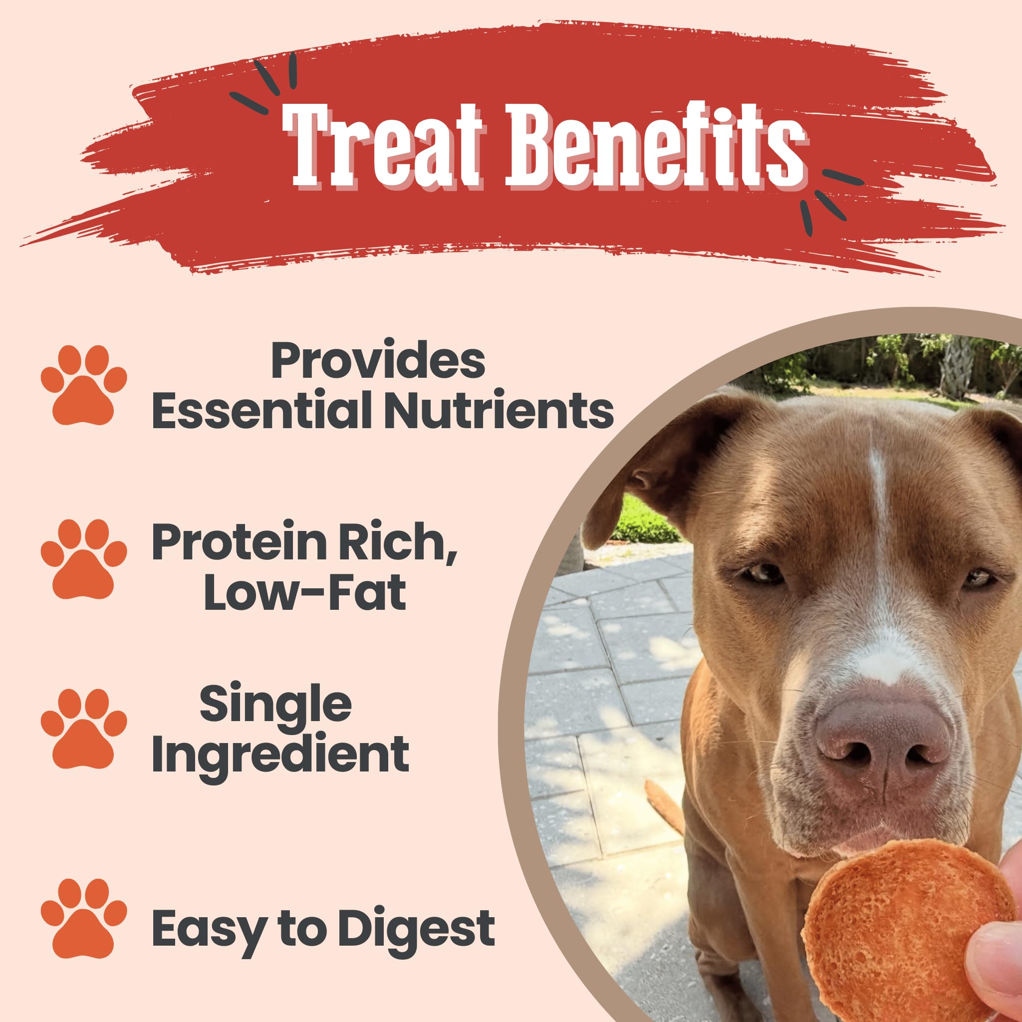 Farm To Pet puppy training treats crunchy chips for rewards