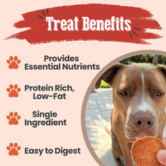 Farm To Pet puppy training treats crunchy chips for rewards