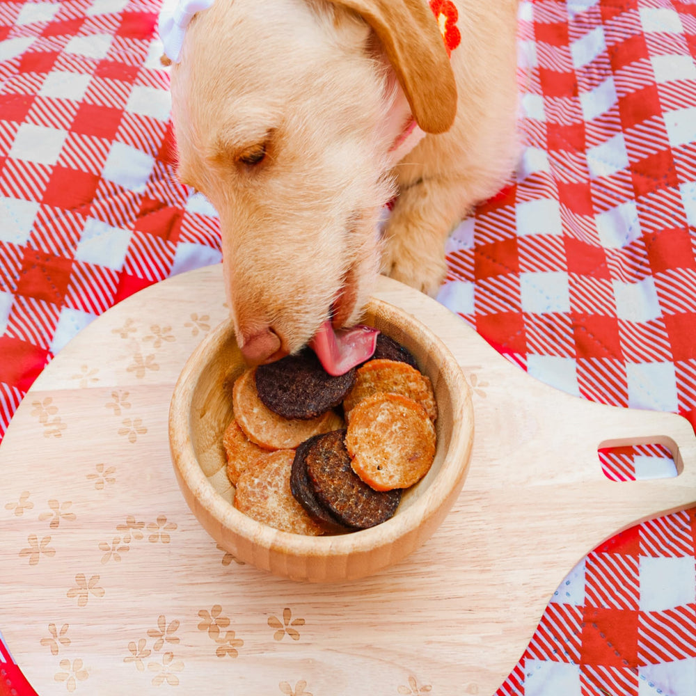 Farm To Pet sampler pack display shows all four proteins for picky eaters.