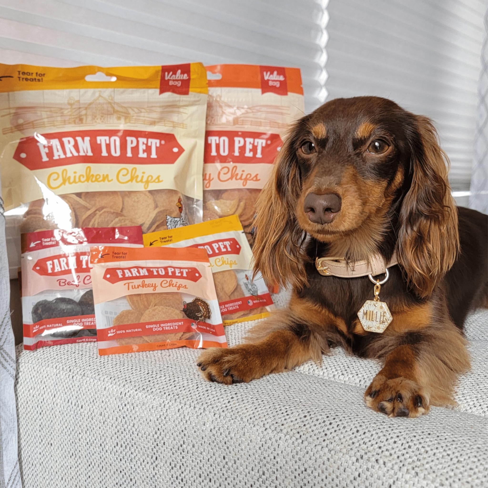 Farm To Pet sensitive-stomach treats are gentle with simple ingredients.