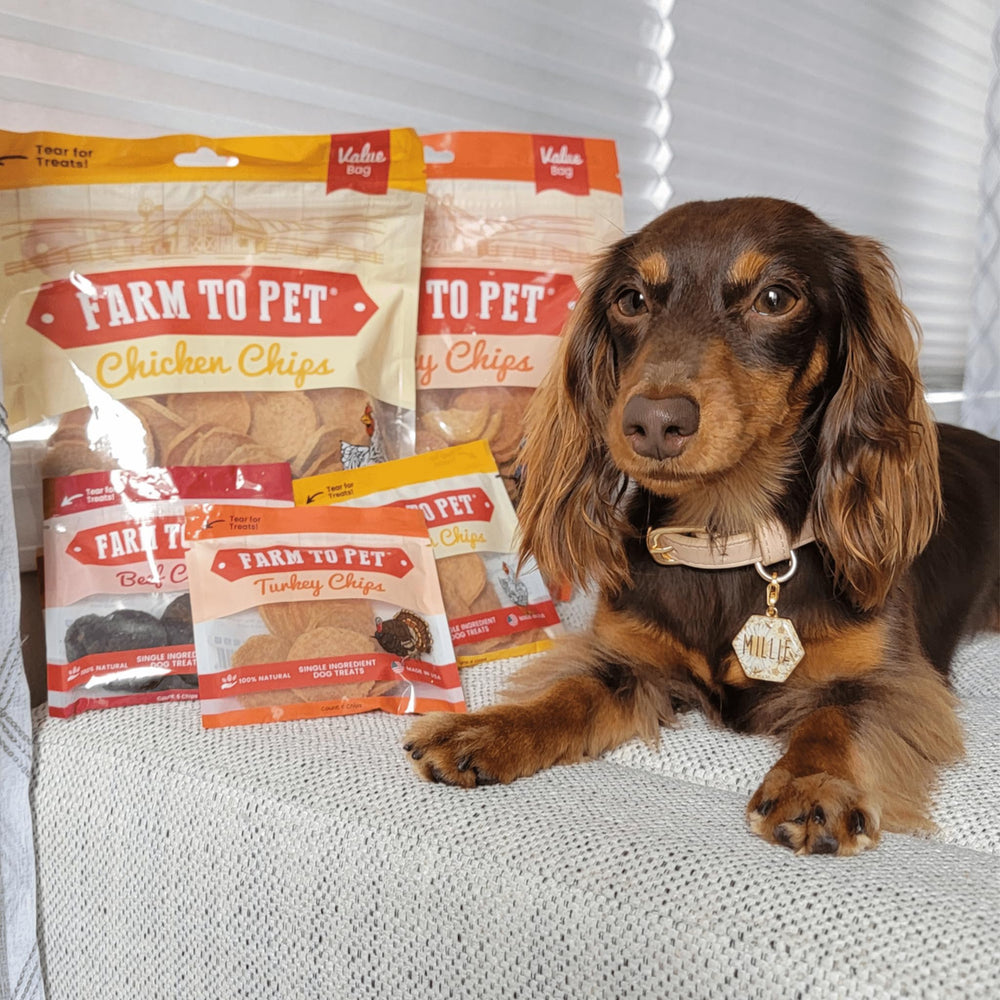 Farm To Pet sensitive-stomach treats are gentle with simple ingredients.