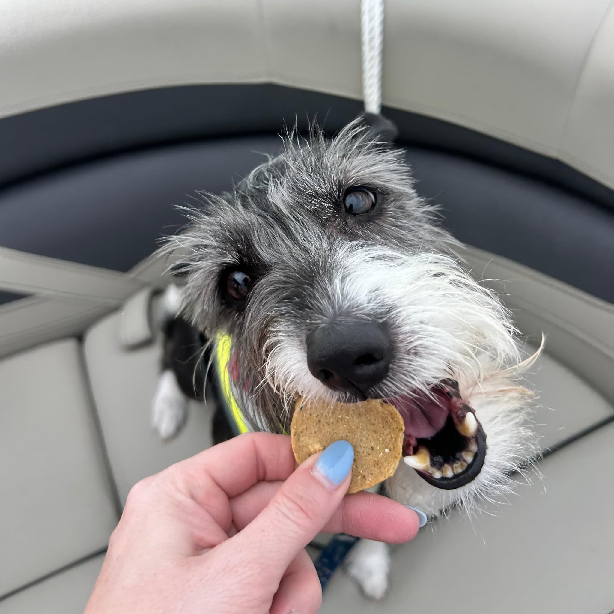 Farm To Pet sustainably sourced walleye label, trusted omega-rich nutrition.