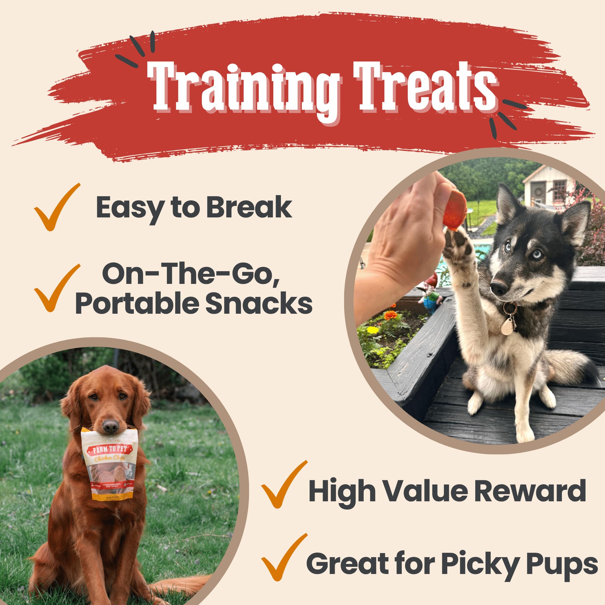 Farm To Pet turkey chip closeup; protein-rich bites for rewards