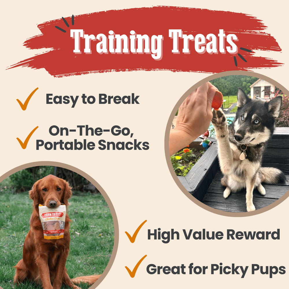 Farm To Pet turkey chip closeup; protein-rich bites for rewards